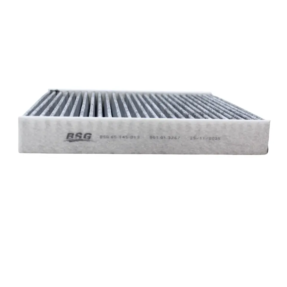 Chevrolet Cruze 1.4 Benzinli Polen Filtresi Bsg - 1808246