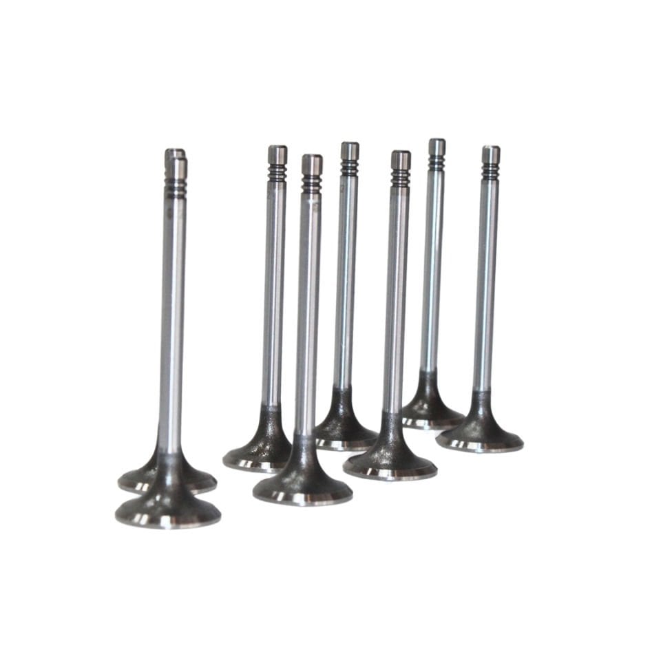 Opel Antara 2.0 Dizel Subap Takımı (Emme - Egsoz) - Güneş 7602-7603