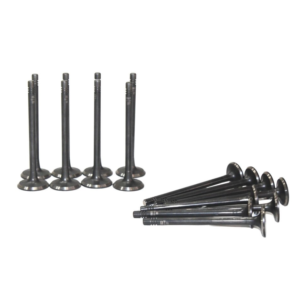 Opel Antara  2.0 Dizel Subap Takımı ( Emme - Egsoz ) - ICR 101612116